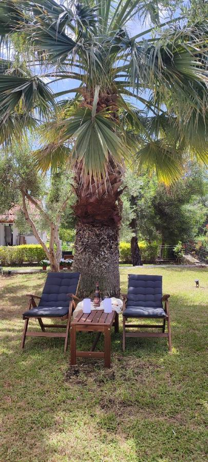 Villa Βianca In Sithonia Gerakini Zewnętrze zdjęcie