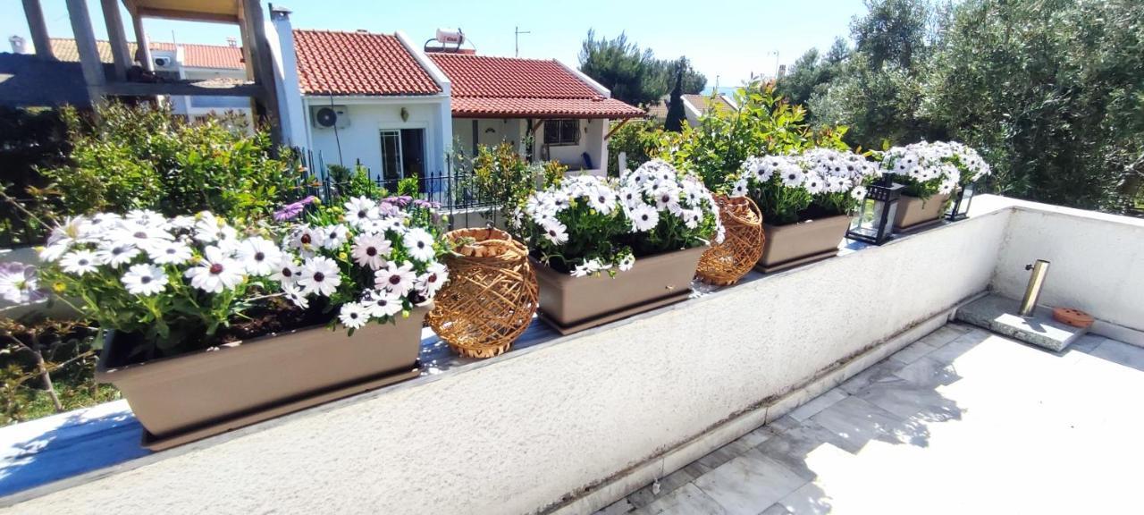 Villa Βianca In Sithonia Gerakini Zewnętrze zdjęcie